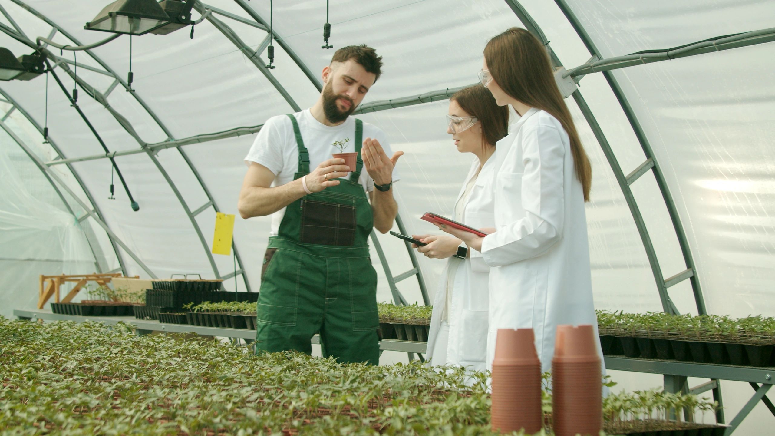 Farmer discussing crops with visitors in a field