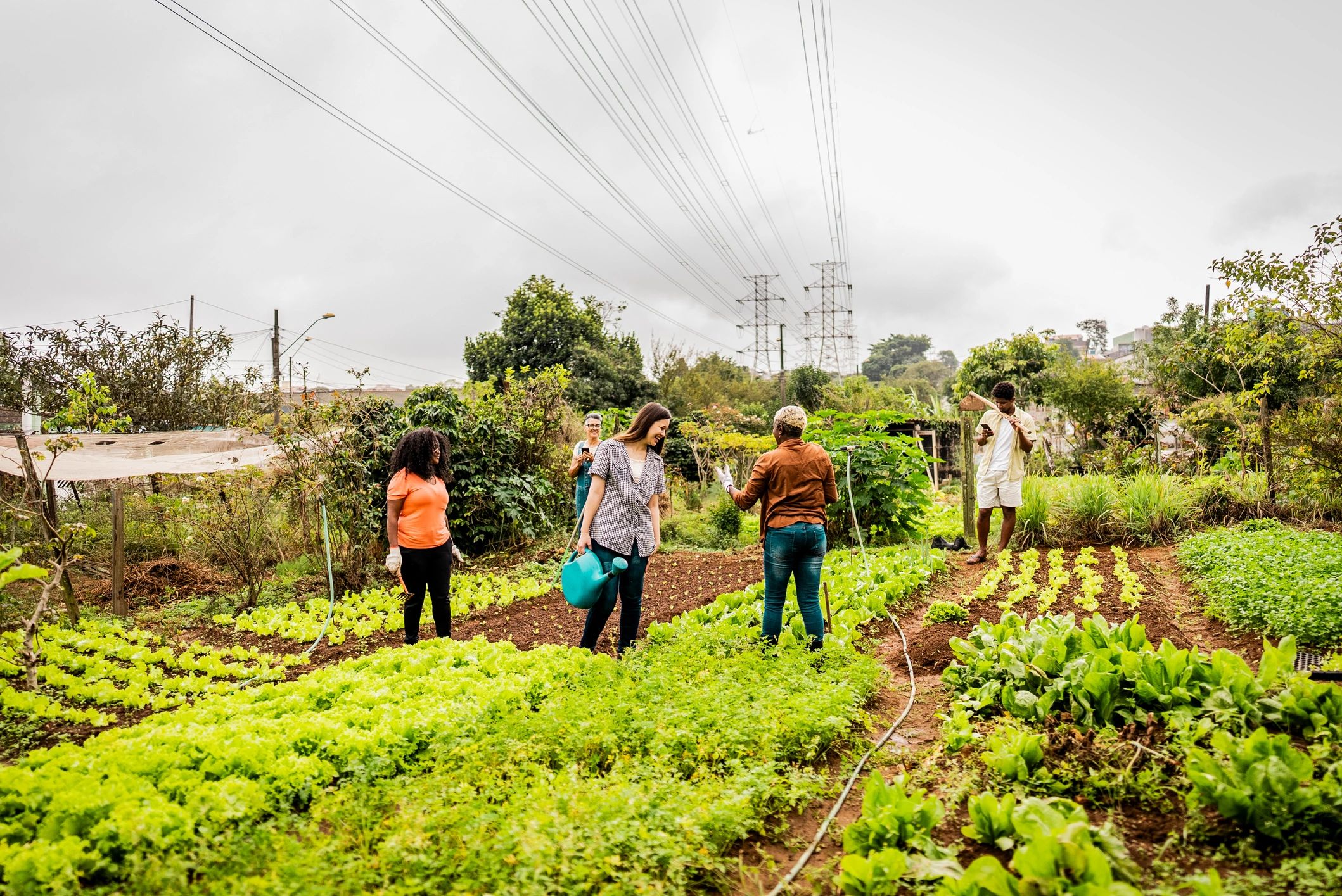 Farmworkers and supporters working together outdoors