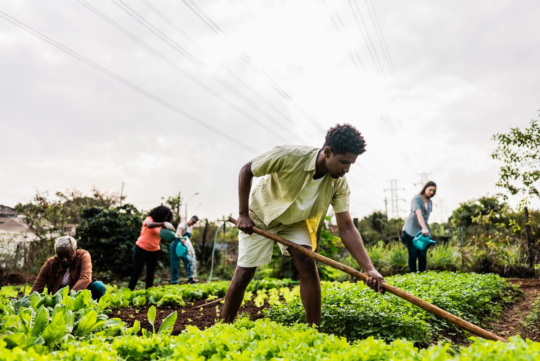 Volunteer working in a community garden